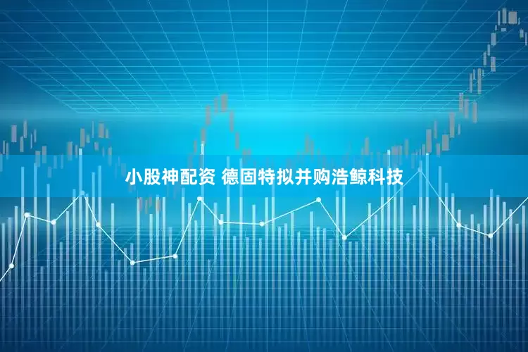 小股神配资 德固特拟并购浩鲸科技