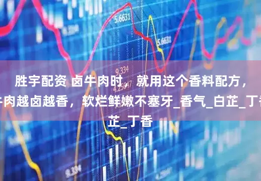 胜宇配资 卤牛肉时，就用这个香料配方，牛肉越卤越香，软烂鲜嫩不塞牙_香气_白芷_丁香