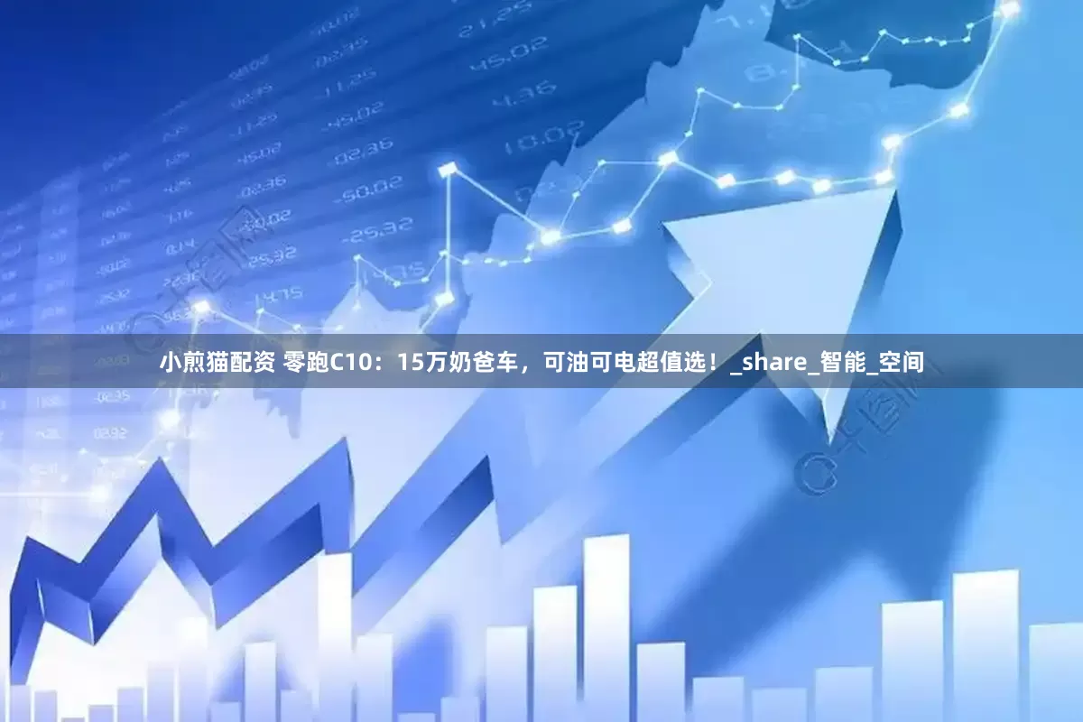 小煎猫配资 零跑C10：15万奶爸车，可油可电超值选！_share_智能_空间