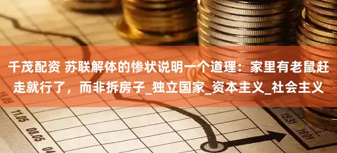 千茂配资 苏联解体的惨状说明一个道理：家里有老鼠赶走就行了，而非拆房子_独立国家_资本主义_社会主义