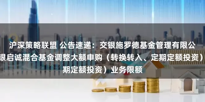 沪深策略联盟 公告速递：交银施罗德基金管理有限公司关于交银启诚混合基金调整大额申购（转换转入、定期定额投资）业务限额